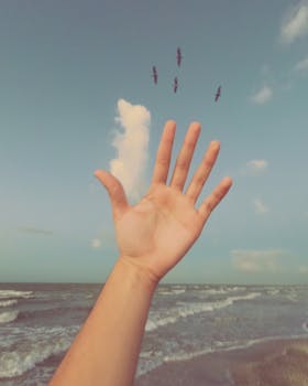 A hand reaching out under a blue sky with birds flying above the ocean waves.